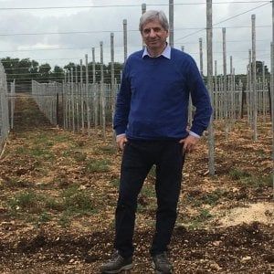 Ortofrutta pugliese campione di export. Ma serve rafforzare la competitività delle imprese