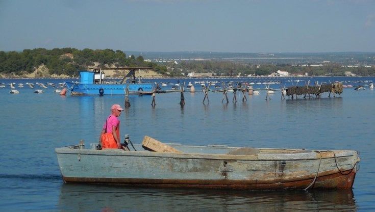 La cozza nera tarantina è un nuovo presidio Slow Food