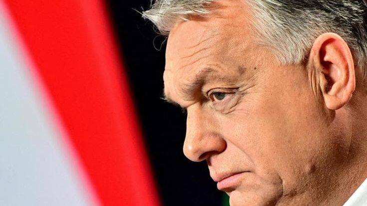 Caso Salis, il portavoce di Orbán: “Reati gravi, misure adeguate. Dai media italiani bugie. È un attacco per rovinare rapporti con Roma”
